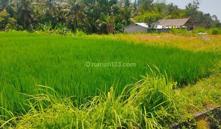 Hot Di Jual Tanah View Sawah Hutan Lokasi Ubud Gianyar 1