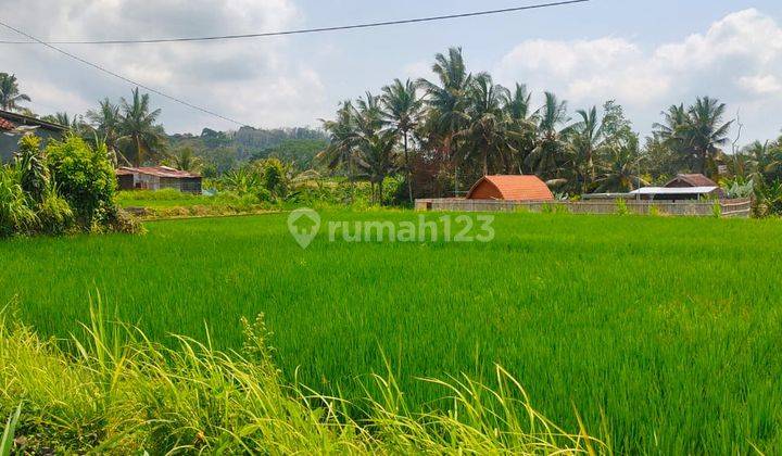 Hot Di Jual Tanah View Sawah Hutan Lokasi Ubud Gianyar 2