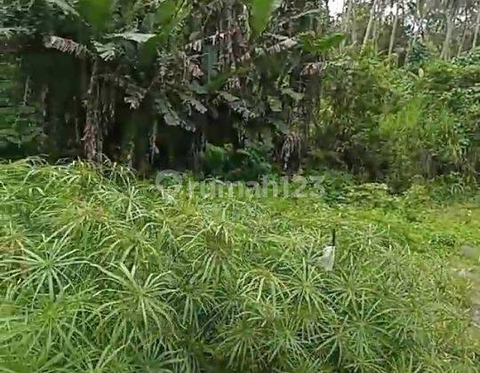 Hot List Di Jual Tanah Loss Sungai View Sungai Lokasi Sayan Ubud Gianyar 2