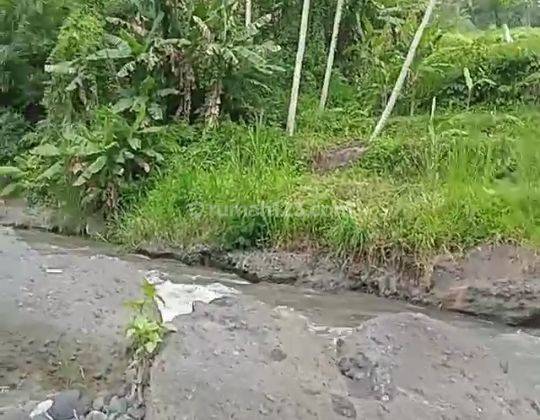 Hot List Di Jual Tanah Loss Sungai View Sungai Lokasi Sayan Ubud Gianyar 1