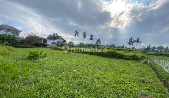 Hot List Di Jual Tanah View Gunung Sungai Lokasi Peliatan Ubud Gianyar  1