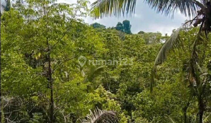 Hot List Land for sale in Tegallalang Ubud Gianyar 1