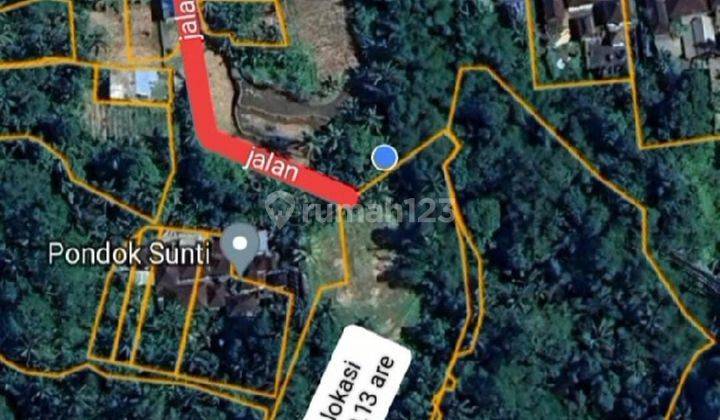 Hot List Land for sale in Tegallalang Ubud Gianyar 2