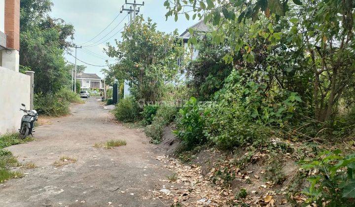 Hot List Di Jual Tanah View Laut Sawah Lokasi Pabean Gianyar 1