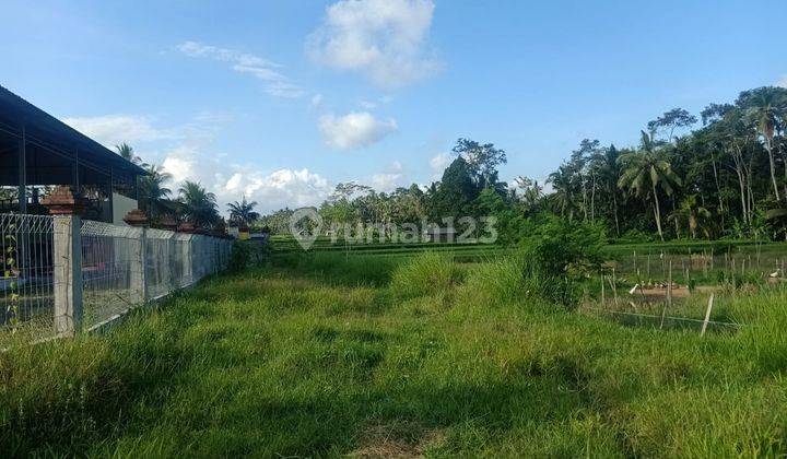 Hot List Di Jual Tanah Lokasi Pejeng Ubud Gianyar 2