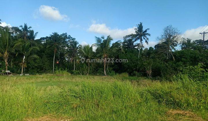 Hot List Di Jual Tanah Lokasi Pejeng Ubud Gianyar 1