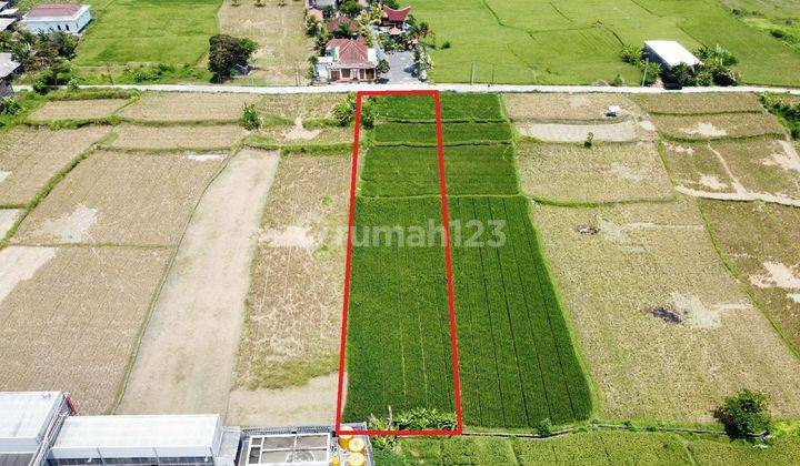 Hot List Termurah Di Kelasnya Di Jual Tanah View Sawah Laut Lokasi Pantai Keramas Blahbatuh Gianyar 2