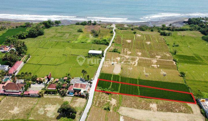 Hot List Termurah Di Kelasnya Di Jual Tanah View Sawah Laut Lokasi Pantai Keramas Blahbatuh Gianyar 1