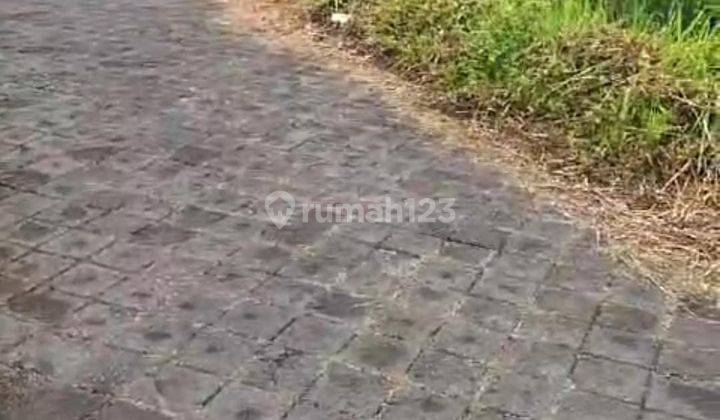  Hot List Termurah Di Kelasnya Di Jual Tanah Lokasi Mudu Taki Dalung Kuta Utara 2