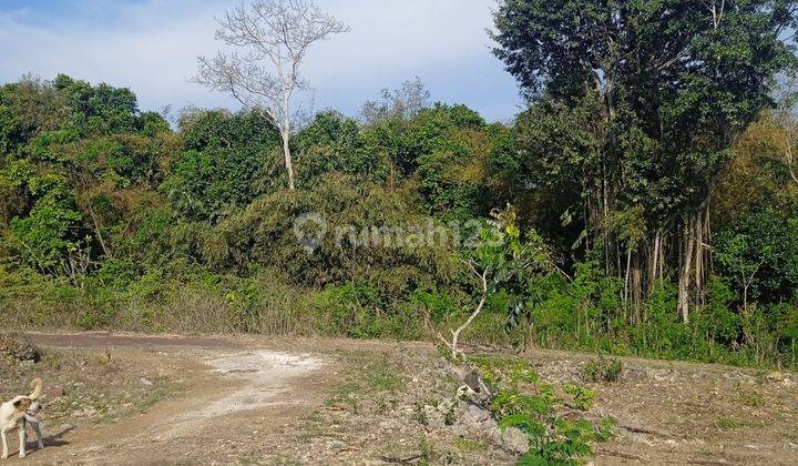 Hot List Termurah Di Kelasnya Di Jual Tanah Lokasi Kutuh Kuta Selatan Badung 1