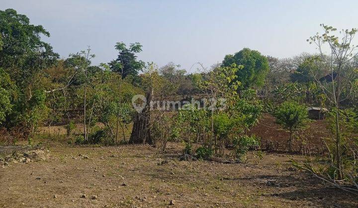 Hot List Termurah Di Kelasnya Di Jual Tanah Lokasi Kutuh Kuta Selatan Badung 2