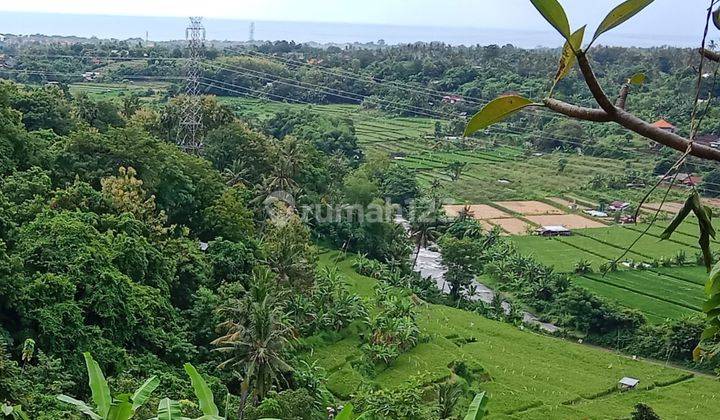 Hot List Termurah Di Kelasnya Di Jual Tanah View Laut Sawah Lokasi Lokapaksa Seririt Buleleng 2