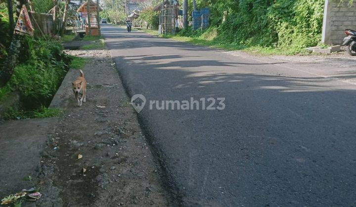 Hot List Di Jual Tanah Lokasi Pangkung Karung Kerambitan Tabanan  1