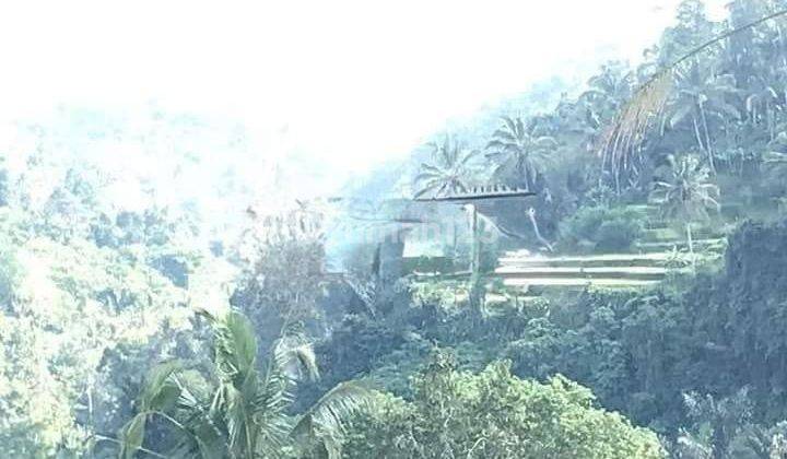 Hot List Land for sale in Payangan Ubud Gianyar  2