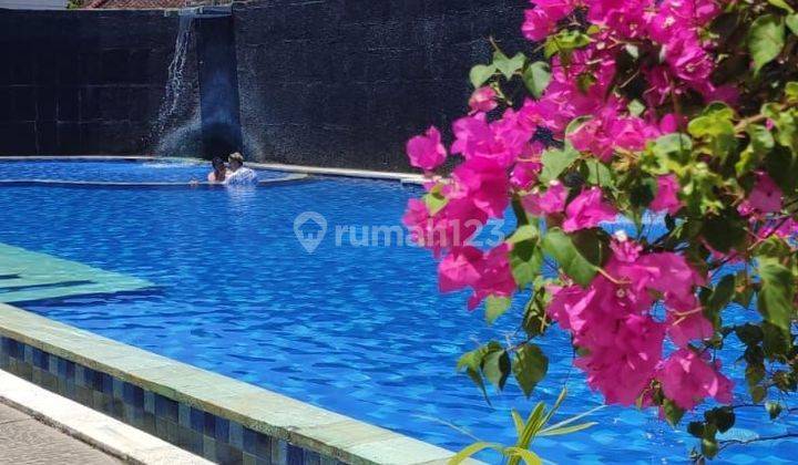 Hot List Di Jual Rumah Lokasi Kuta Badung  2