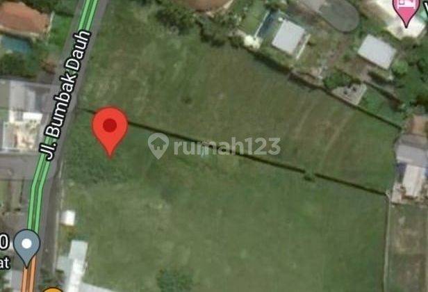 Hot List of Land for Sale in Bumbak Umalas, Kerobokan, North Kuta 1