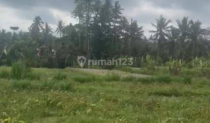 Hot List Di Jual Tanah Lokasi Pejeng Ubud Gianyar  1