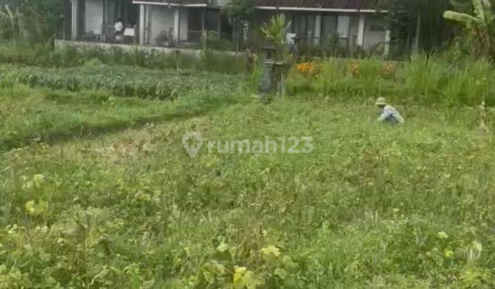 Hot List Di Jual Tanah Lokasi Pejeng Ubud Gianyar  2