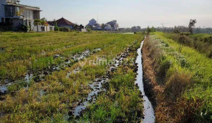 Hot List Di Jual Tanah Lokasi Cemagi Mengwi Badung  1