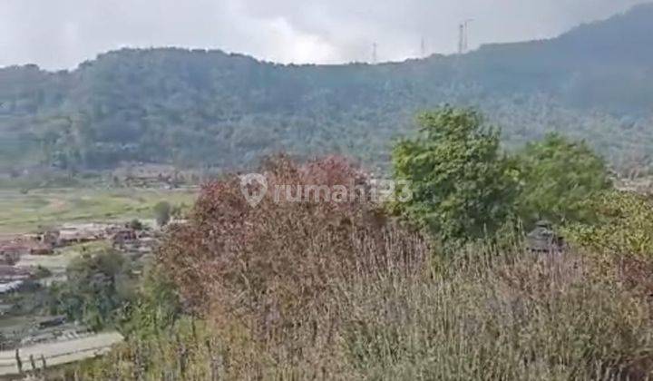 Hot List Di Jual Tanah Bonus Bangunan Ex Hotel View Danau Buyan, Gunung Hutan Lokasi Pancasari Sukasada Buleleng 2