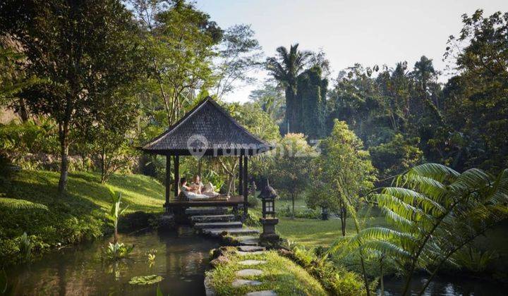 Hot List for Sale Villa Sawah Gunung Payangan Ubud Gianyar Location 2