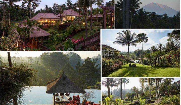 Hot List for Sale Villa Sawah Gunung Payangan Ubud Gianyar Location 1