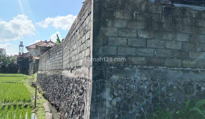 Hot List Termurah Di Kelasnya Di Jual Tanah Lokasi Tegal Buah Padangsambian Klod Denpasar Barat 1