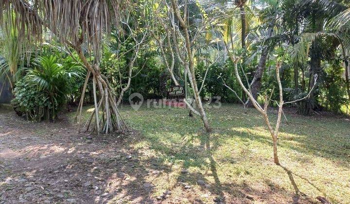 Hot List Di Jual Tanah Loss Pantai View Laut Lokasi Pekutatan Jembrana  2