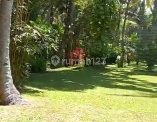 Hot List Di Jual Tanah Loss Pantai View Laut Lokasi Pekutatan Jembrana  2