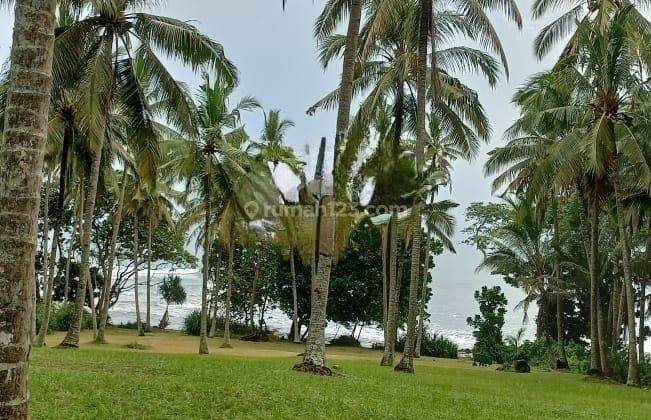 Hot List for Sale of Land Loss Beach View Sea Location Pekutatan Jembrana  1