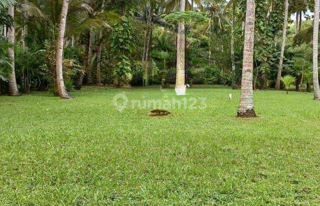 Hot List for Sale of Land Loss Beach View Sea Location Pekutatan Jembrana  1