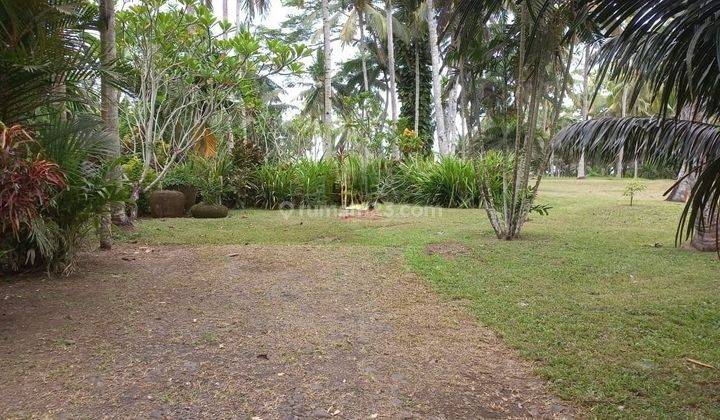 Hot List for Sale of Land Loss Beach View Sea Location Pekutatan Jembrana  1