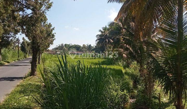 Hot List of Land for Sale in Medahan Gianyar Plot Location 2