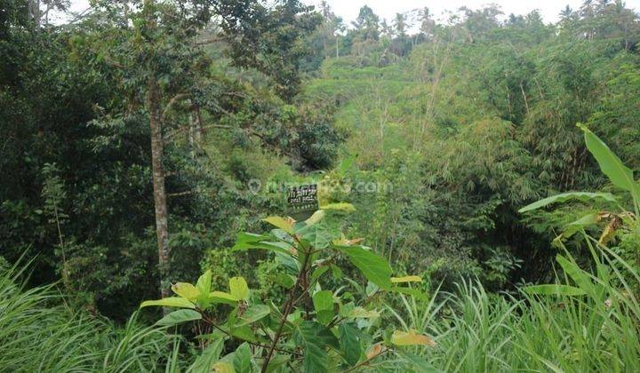 Hot List For Sale Land View Paddy Location Madangan Petak Gianyar 1