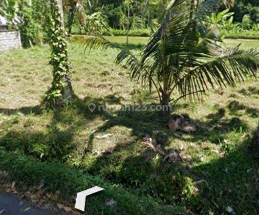 Hot List Di Jual Tanah Pinggir Jalan Lokasi Permata Pering Blahbatuh Gianyar 1