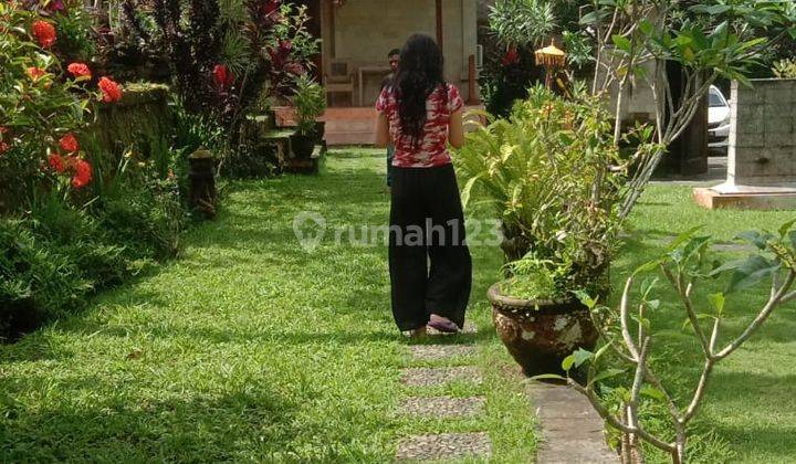 Hot List of Villas for Sale in Pejeng Ubud Gianyar Location  2