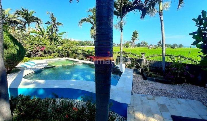 Hot List Di Jual Villa Lokasi Celuk Buluh Lovina Singaraja Buleleng 2