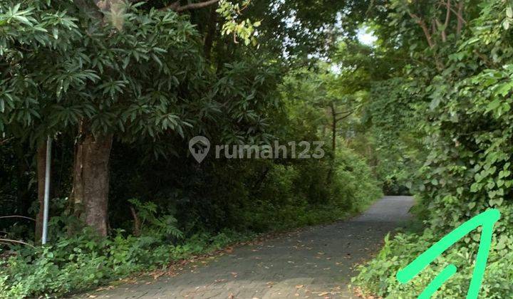 Hot List Di Jual Tanah Lokasi Pecatu Kuta Selatan Badung 2