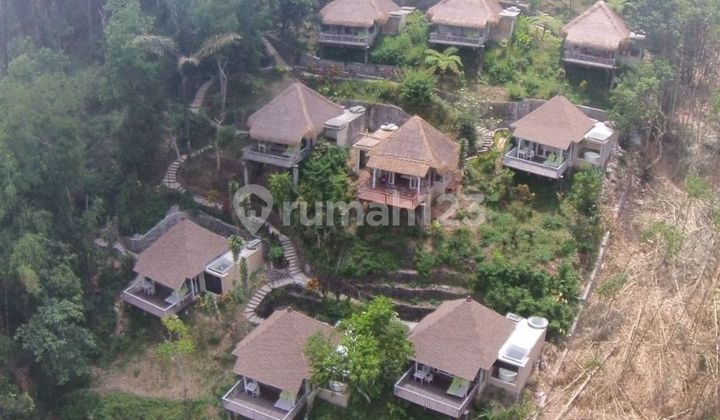 TOP URGENT FOR SALE LAND VIEW GUNUNG AGUNG BONUS BUILDING IN ONE LOCATION TEGALLALANG UBUD GIANYAR
