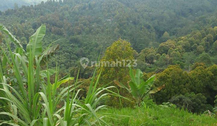 TOP URGENT FOR SALE LAND LOCATION MUNDUK BULELENG 1