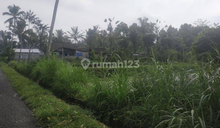 TOP URGENT DI JUAL TANAH LOKASI TARO TEGALLALANG UBUD GIANYAR 2