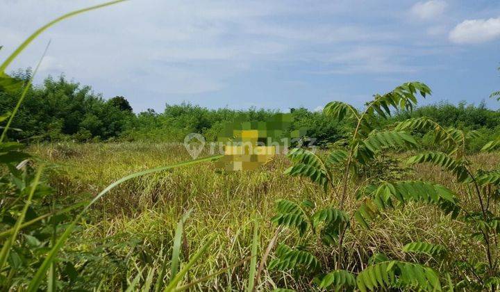 TOP URGENT FOR SALE LAND BESIDE MAIN ROAD LOCATION SUNSET ROAD KUTA BADUNG
 1