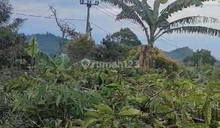 TOP URGENT DI JUAL TANAH VIEW LAUT & AIR TERJUN LOKASI WANAGIRI SUKASADA BULELENG 2