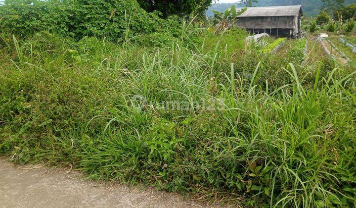 TOP URGENT DI JUAL TANAH VIEW BUKIT LOKASI PANCASARI SINGARAJA BULELENG 1