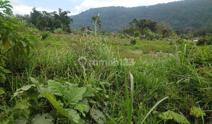 TOP URGENT DI JUAL TANAH VIEW BUKIT LOKASI PANCASARI SINGARAJA BULELENG 2