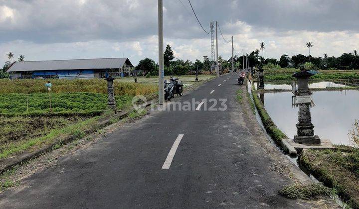 TOP URGENT FOR SALE LAND VIEW SAWAH & MOUNTAIN LOCATION SINGAKERTA UBUD GIANYAR
 2