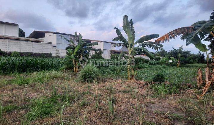 TOP URGENT LAND FOR SALE IN SANUR SOUTH DENPASAR LOCATION 1