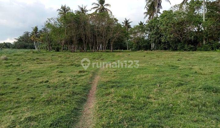 TOP DEAL FOR SALE LOSS BEACH SEA VIEW LAND LOCATION BERABAN SELEMADEG TABANAN
 2