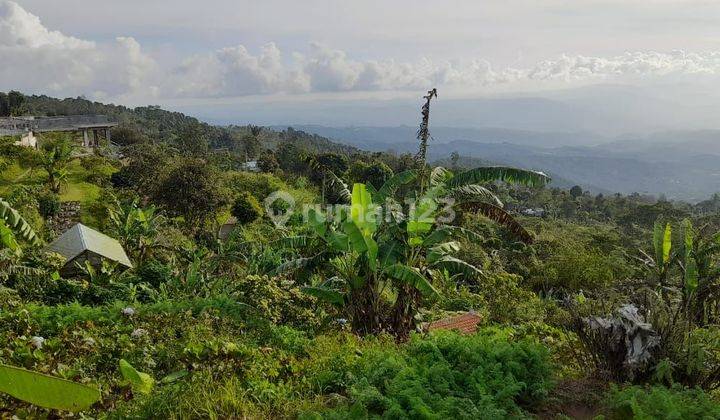 SURE CLOSING FOR SALE LAND WITH SEA VIEW LOCATION Munduk Tamblingan BULELENG 2