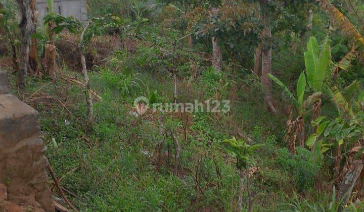 SURE CLOSING FOR SALE LAND WITH SEA & VALLEY VIEW, Munduk Tamblingan, BULELENG LOCATION 2